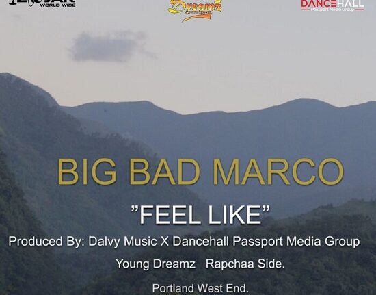 Big Bad Marco, Dalvy Music - Feel Rich