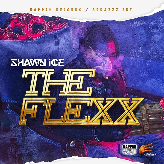Shawn Ice The flexx